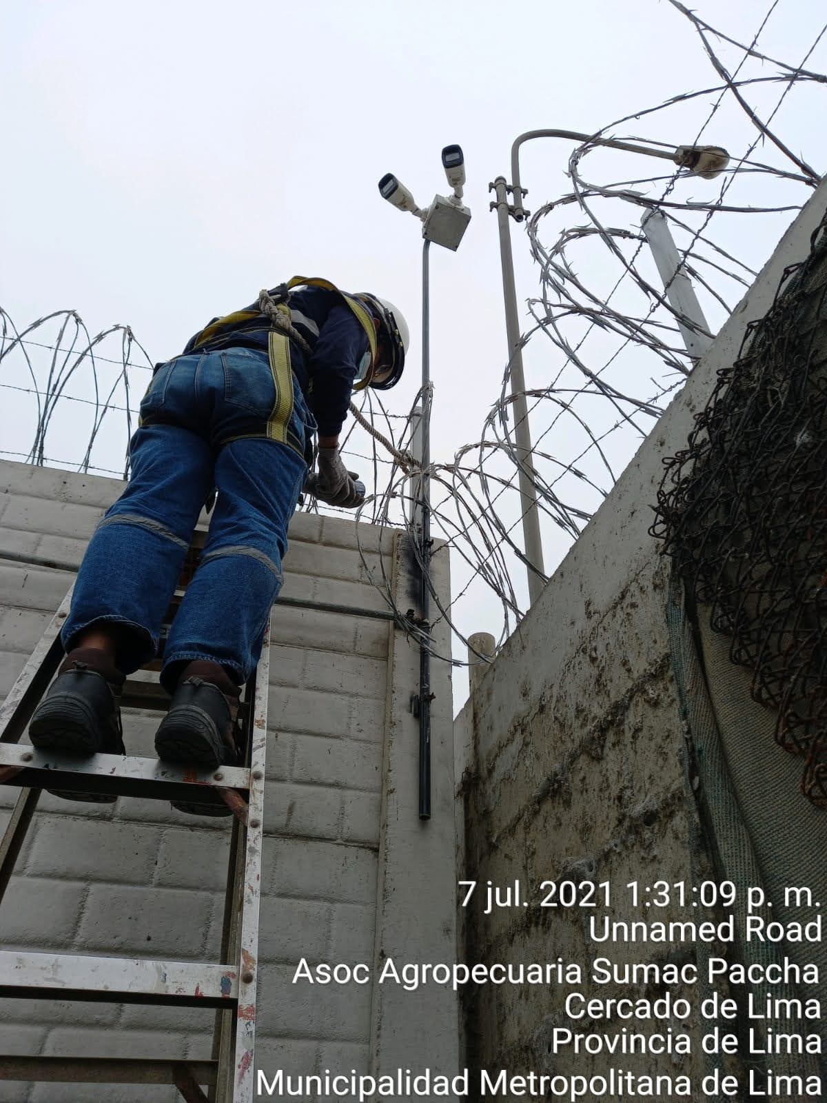 IMG-20210707-WA0083