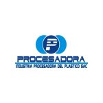 procesador